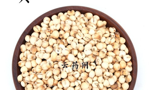 膳荣的效果与作用网—知名的膳宁网站,分享膳中知识